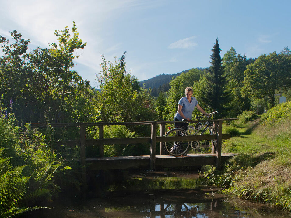 Brücke über den kleinen Fischteich vor dem Forellenhof Poggel Eslohe im Sauerland