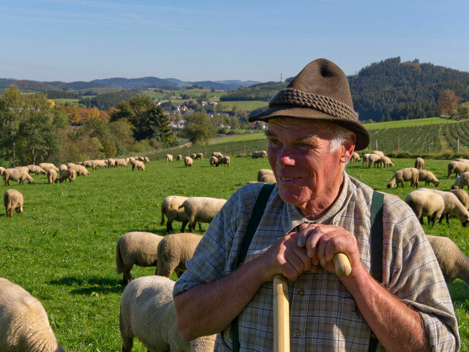 Schäfer mit seinen Schafen auf einer Weide in Cobbenrode im Sauerland