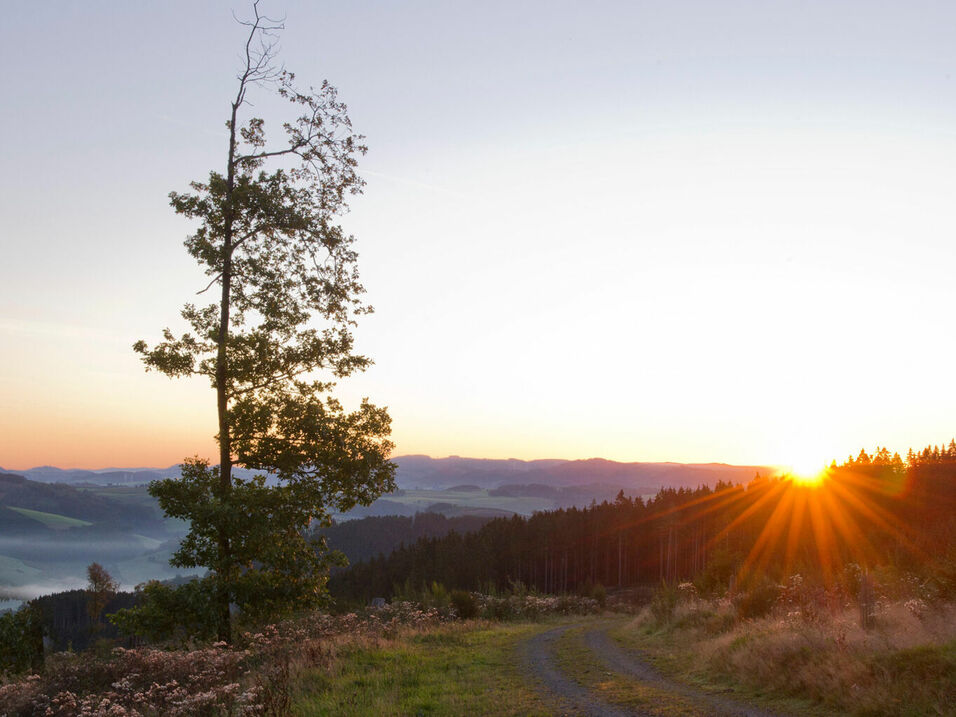 Sonnenaufgang auf der Homert im Sauerland